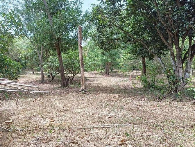picture Beautiful plot of land for sale, next to Santikam Road, Bang Lamung, Chonburi - 6/10