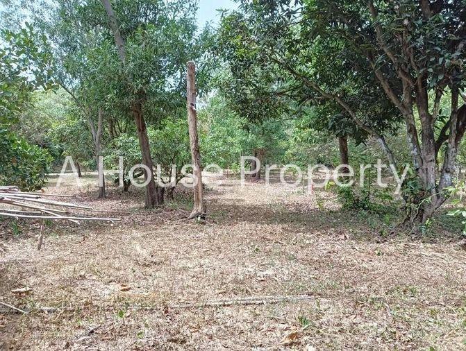 picture Beautiful plot of land for sale, next to Santikam Road, Bang Lamung, Chonburi - 6/10