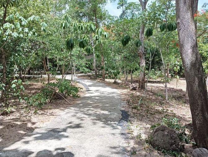 picture Beautiful plot of land for sale, next to Santikam Road, Bang Lamung, Chonburi - 7/10