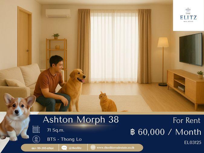 รูป ✨ ไม่ต้องห่วงเรื่องน้องๆ 🐶🐱 Ashton Morph 38 ห้องหรูที่ให้คุณอยู่พร้อมลูกๆได้อย่างสบายใจ 💖 - รูปที่ 1/7