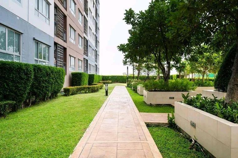 picture The Trust Residence Pinklao, 1 bedroom, 1 bathroom - 16/19