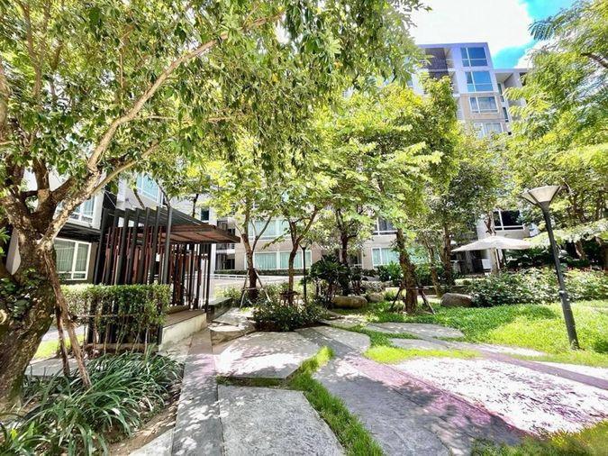 picture For sale: Element Srinakarin Project: 1 unit 37 sq m (garden view) near Seacon Square - 18/18