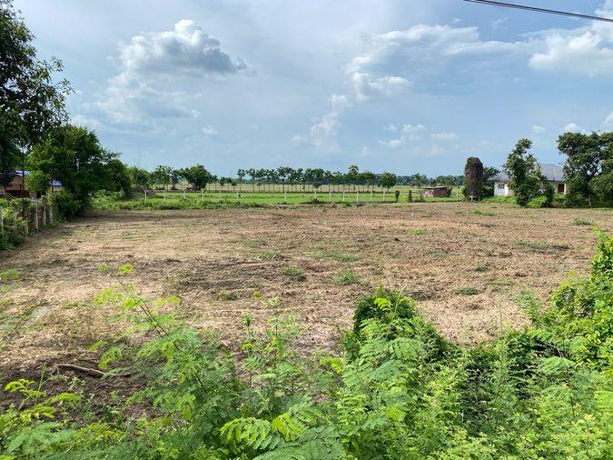 picture Land for sale in Sing Buri, opposite Wat Phra Non, 4-2-16 Rai, price 10.35 million Baht, width 88 meters, drectangular plot, adjacent to Highway 3032. - 4/14