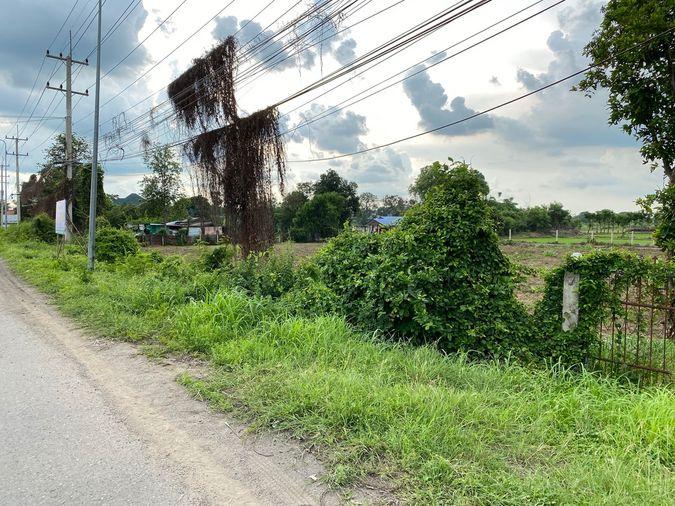 picture Land for sale in Sing Buri, opposite Wat Phra Non, 4-2-16 Rai, price 10.35 million Baht, width 88 meters, drectangular plot, adjacent to Highway 3032. - 14/14