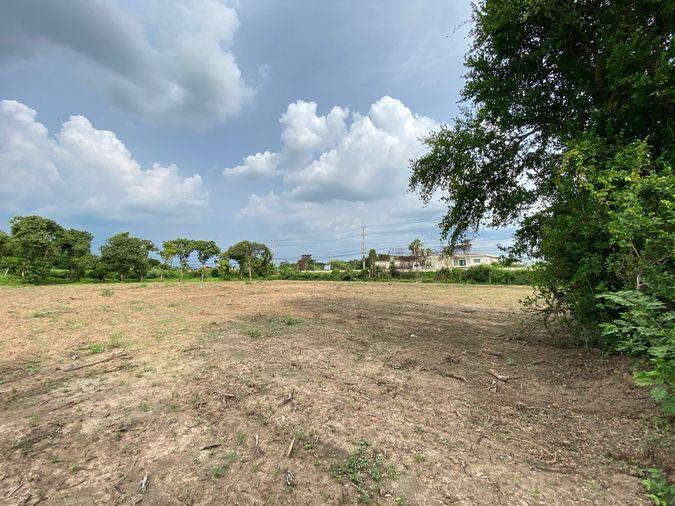 picture Land for sale in Sing Buri, opposite Wat Phra Non, 4-2-16 Rai, price 10.35 million Baht, width 88 meters, drectangular plot, adjacent to Highway 3032. - 11/14
