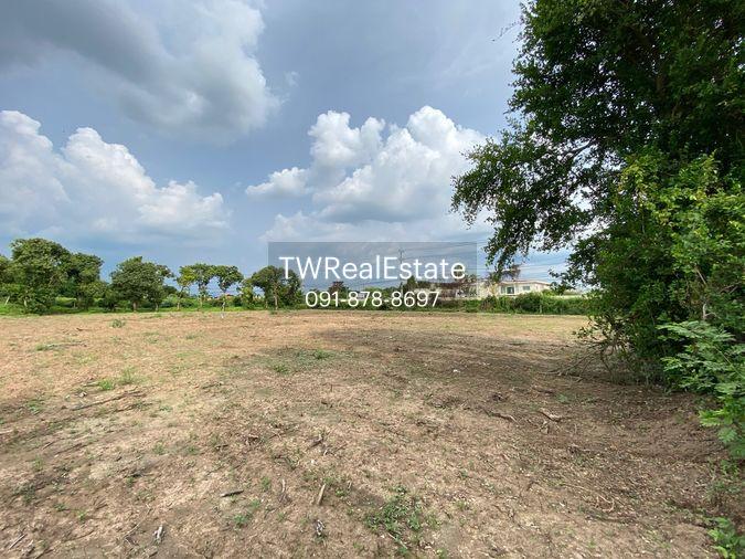 picture Land for sale in Sing Buri, opposite Wat Phra Non, 4-2-16 Rai, price 10.35 million Baht, width 88 meters, drectangular plot, adjacent to Highway 3032. - 11/14