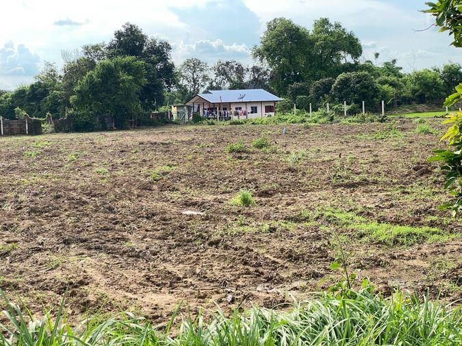 picture Land for sale in Sing Buri, opposite Wat Phra Non, 4-2-16 Rai, price 10.35 million Baht, width 88 meters, drectangular plot, adjacent to Highway 3032. - 7/14