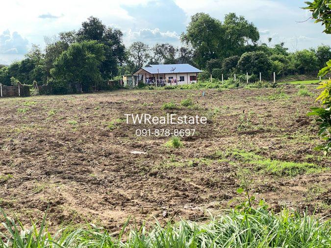 picture Land for sale in Sing Buri, opposite Wat Phra Non, 4-2-16 Rai, price 10.35 million Baht, width 88 meters, drectangular plot, adjacent to Highway 3032. - 7/14