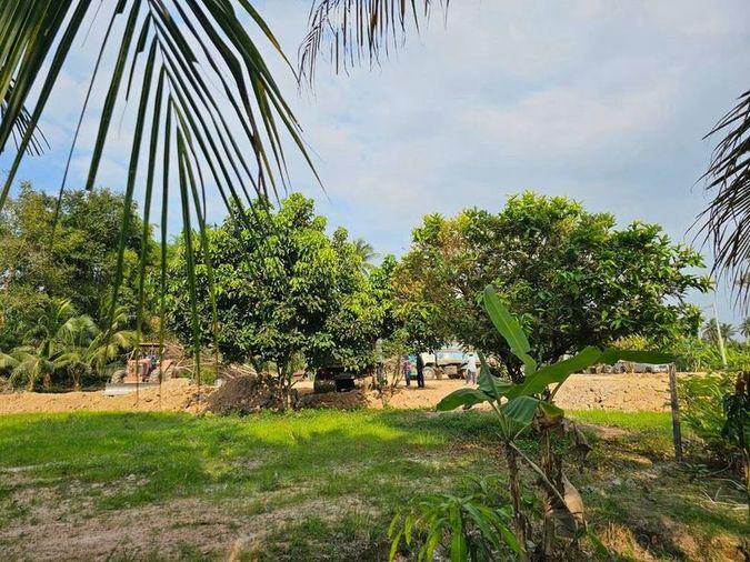 picture Land for sale in Pattaya, EEC zone, Huai Yai District, Bang Lamung, Chonburi - 6/7