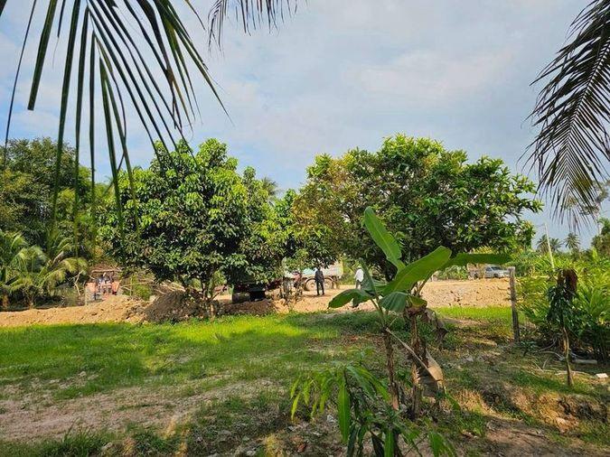 picture Land for sale in Pattaya, EEC zone, Huai Yai District, Bang Lamung, Chonburi - 7/7