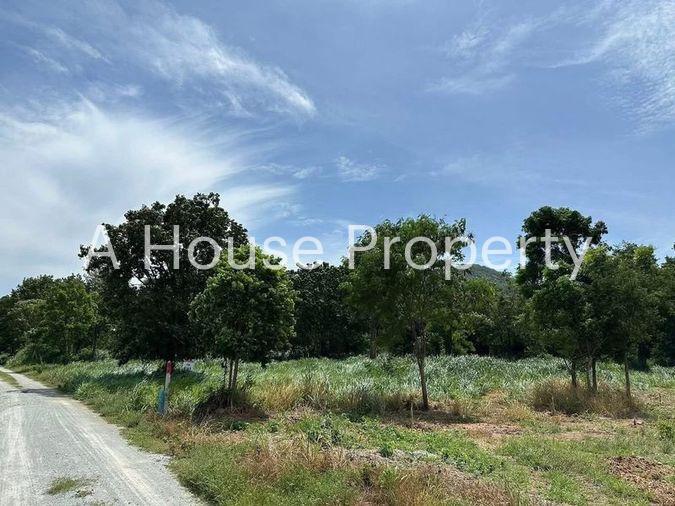 picture Land for sale in Bang Phra, Sriracha, beautiful plot, near Bang Phra Reservoir - 4/4
