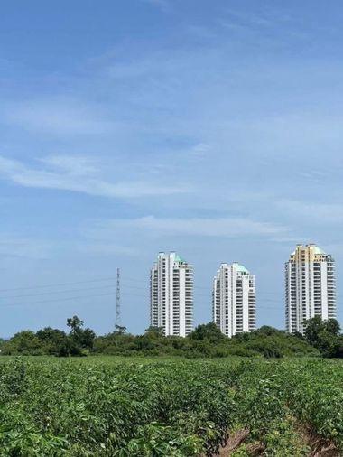 picture Land for sale in Bang Phra, Sriracha, beautiful plot, near Bang Phra Reservoir - 1/4