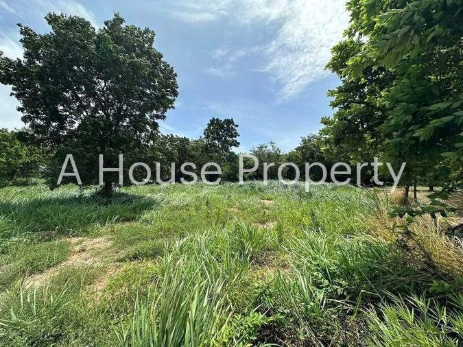 picture Land for sale in Bang Phra, Sriracha, beautiful plot, near Bang Phra Reservoir - 2/4