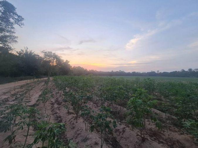 picture Beautiful land plot for sale, good location, next to Siam Country Club Pattaya golf course. - 5/9