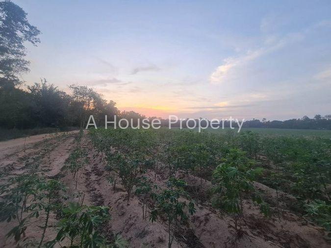 รูป ขายที่ดินแปลงสวย ทำเลดี ติดสนามกอล์ฟ สยามคันทรีคลับพัทยา - รูปที่ 5/9
