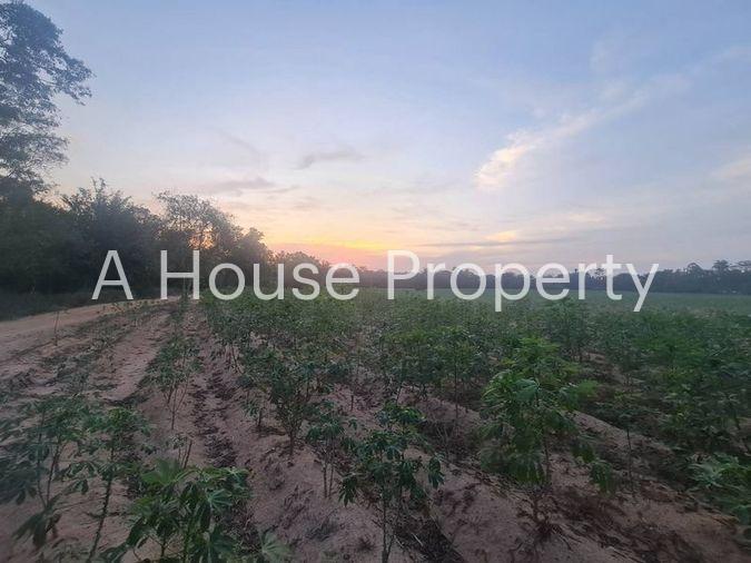 picture Beautiful land plot for sale, good location, next to Siam Country Club Pattaya golf course. - 5/9