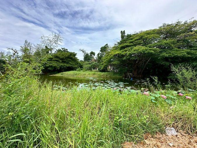 picture Luxury detached house, premium location, Panya Resort Village, Bang Phra, Sriracha, Chonburi - 15/20