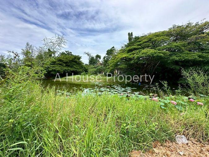รูป บ้านเดี่ยวสุดหรู ทำเลสุดพรีเมี่ยม หมู่บ้านปัญญารีสอร์ท บางพระ ศรีราชา ชลบุรี - รูปที่ 15/20