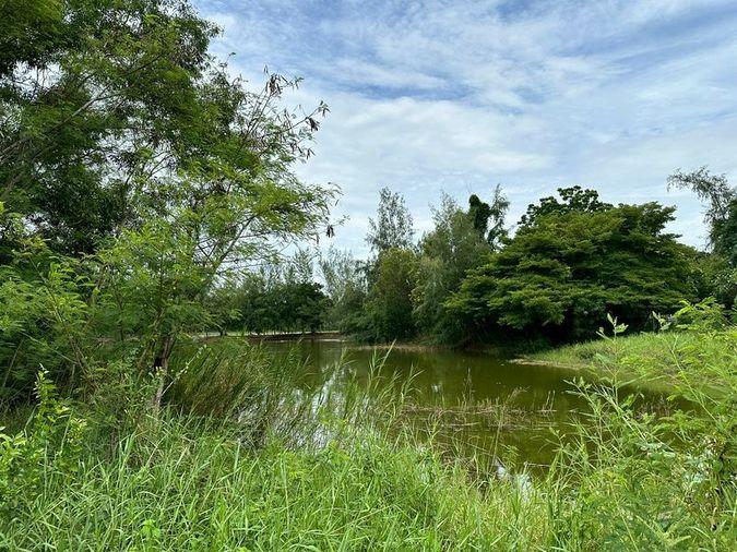 picture Luxury detached house, premium location, Panya Resort Village, Bang Phra, Sriracha, Chonburi - 13/20
