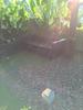 listing thumbnail image 15