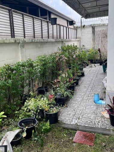 picture House for Sale ​🔥🔥 Special Price at Supalai Bella Rangsit-Klong 2 MD-86667 - 13/14