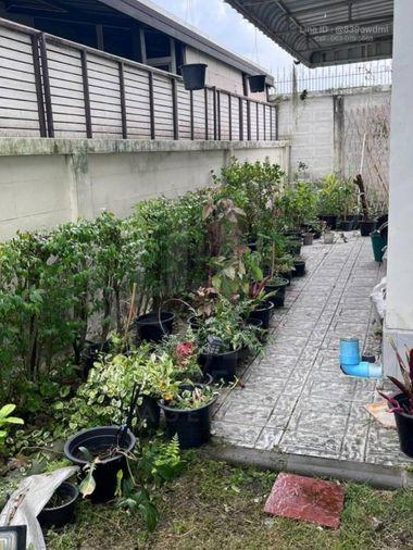 picture House for Sale 🔥🔥 Special Price at Supalai Bella Rangsit-Klong 2 MD-86667 - 13/14