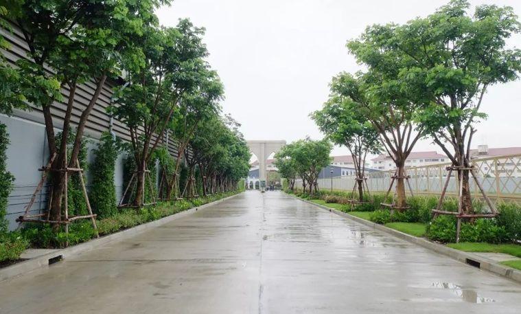 picture Siri Place Bangna - Thepharak Bangpee - 19/20