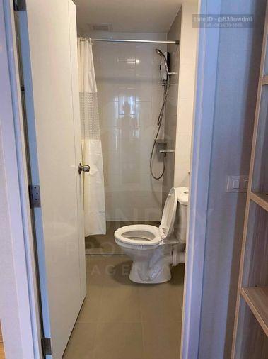 picture For Sale 🔥🔥 Special Price at Plum Condo Rangsit Alive MD-95288 - 7/7
