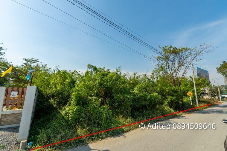 รูป ขาย ที่ดิน ถนนชัยพฤกษ์ ปากเกร็ด 1 ไร่กว่า เข้าซอย 150 ม. ใกล้แม่น้ำเจ้าพระยา ถนนราชพฤกษ์ สะพานพระราม 4 ที่ดินถมแล้ว - รูปที่ 23/26