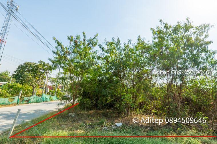 รูป ขาย ที่ดิน ถนนชัยพฤกษ์ ปากเกร็ด 1 ไร่กว่า เข้าซอย 150 ม. ใกล้แม่น้ำเจ้าพระยา ถนนราชพฤกษ์ สะพานพระราม 4 ที่ดินถมแล้ว - รูปที่ 25/26