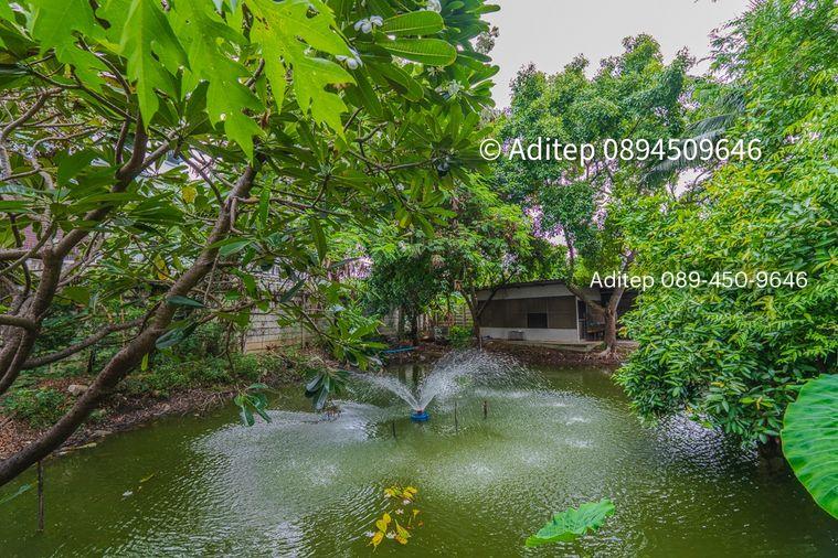 รูป ขายบ้านพร้อมที่ดินแปลงใหญ่ 549 ตร.ว. ลาดพร้าว 107 ซอยเดียวกับมหาวิทยาลัยรัตนบัณฑิต (RBAC) - รูปที่ 27/32
