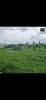 listing thumbnail image 28