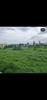listing thumbnail image 28
