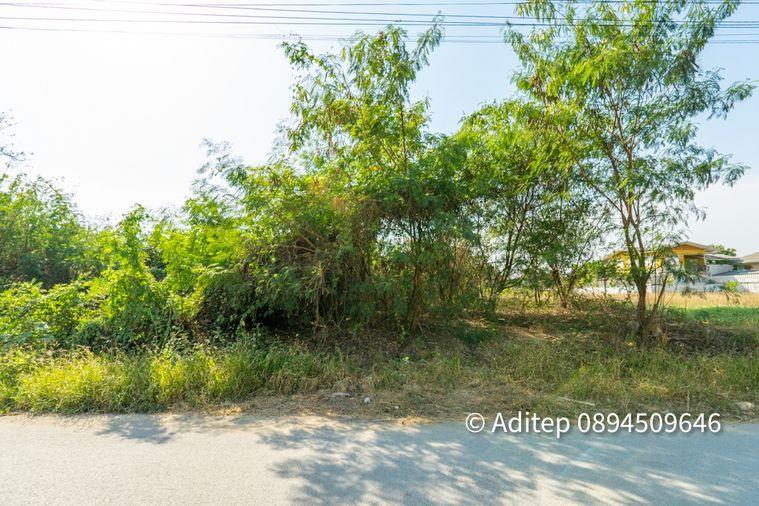 รูป ขาย ที่ดิน ถนนชัยพฤกษ์ ปากเกร็ด 1 ไร่กว่า เข้าซอย 150 ม. ใกล้แม่น้ำเจ้าพระยา ถนนราชพฤกษ์ สะพานพระราม 4 ที่ดินถมแล้ว - รูปที่ 24/26