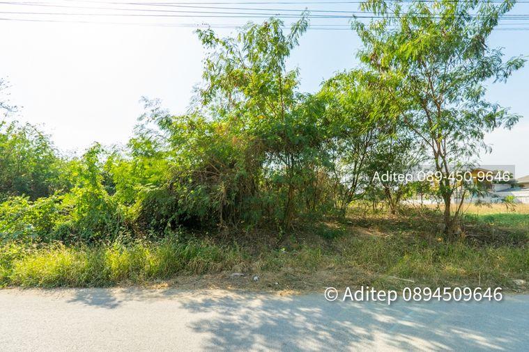 รูป ขาย ที่ดิน ถนนชัยพฤกษ์ ปากเกร็ด 1 ไร่กว่า เข้าซอย 150 ม. ใกล้แม่น้ำเจ้าพระยา ถนนราชพฤกษ์ สะพานพระราม 4 ที่ดินถมแล้ว - รูปที่ 24/26