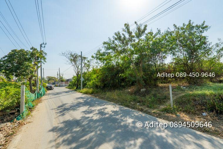 รูป ขาย ที่ดิน ถนนชัยพฤกษ์ ปากเกร็ด 1 ไร่กว่า เข้าซอย 150 ม. ใกล้แม่น้ำเจ้าพระยา ถนนราชพฤกษ์ สะพานพระราม 4 ที่ดินถมแล้ว - รูปที่ 20/26