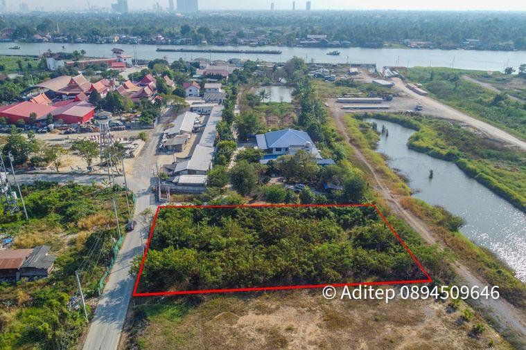 รูป ขาย ที่ดิน ถนนชัยพฤกษ์ ปากเกร็ด 1 ไร่กว่า เข้าซอย 150 ม. ใกล้แม่น้ำเจ้าพระยา ถนนราชพฤกษ์ สะพานพระราม 4 ที่ดินถมแล้ว - รูปที่ 11/26