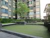 listing thumbnail image 29