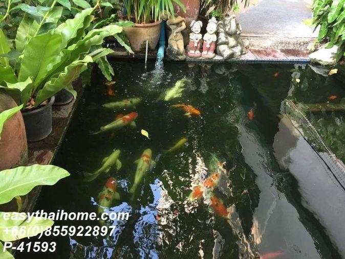 รูป P-41593 📢 ให้เช่าคอนโด ย่านพหลโยธิน เสนานิคม #ยัง เพลส แกรนด์ เลอ จาแดง พหลโยธิน 37 Line: @easythaihome 085-592-2897 - รูปที่ 10/13