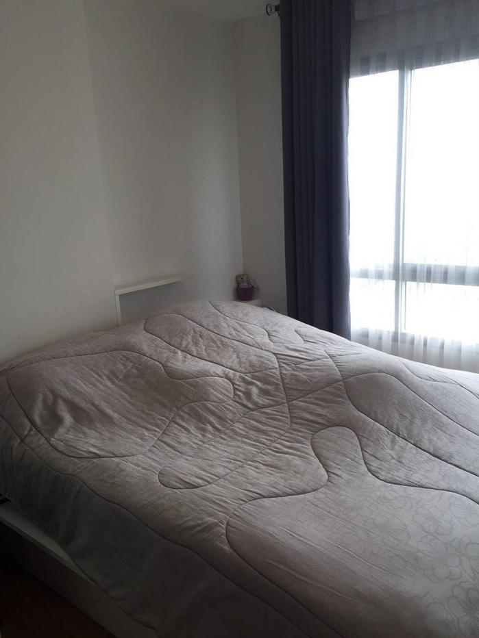 picture For Rent The Trust Residence Ratchada - Rama 3  Line @condo24 (with @) - 3/8