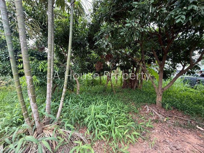 รูป ขายที่ดินแปลงสวย ในหมู่บ้านจัดสรร เขตศรีราชา เก้ากิโล ชลบุรี - รูปที่ 5/10