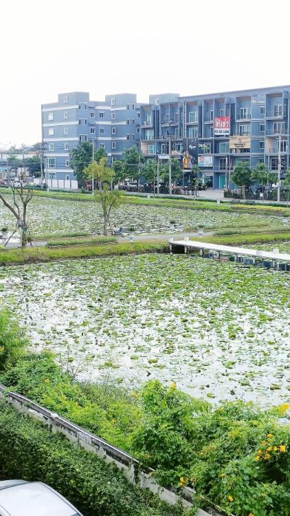 รูป 🏢 ขายคอนโด : I CONDO Sukhapiban 2 (ไอ คอนโด สุขาภิบาล 2)   รหัสทรัพย์ | 📌LNP-C9683  - รูปที่ 5/14