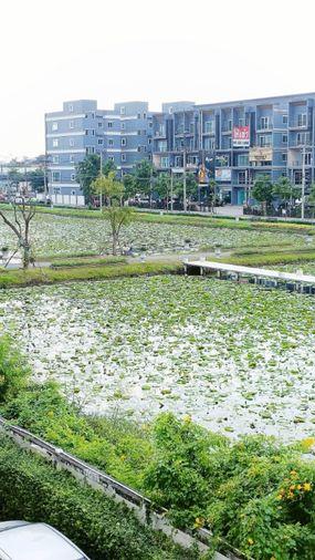 รูป 🏢 ขายคอนโด : I CONDO Sukhapiban 2 (ไอ คอนโด สุขาภิบาล 2)   รหัสทรัพย์ | 📌LNP-C9683  - รูปที่ 5/14