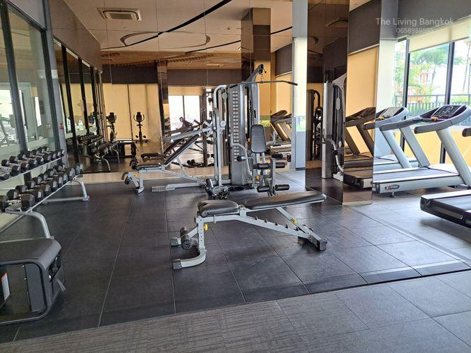 รูป For Rent : The Tree Sukhumvit 71 – Ekkamai( ARL Ramkhamhaeng) (Rt-01) - รูปที่ 24/26
