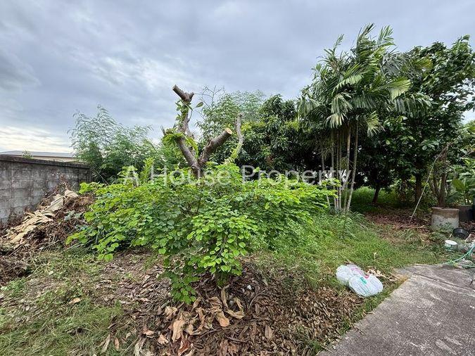 รูป ขายที่ดินแปลงสวย ในหมู่บ้านจัดสรร เขตศรีราชา เก้ากิโล ชลบุรี - รูปที่ 6/10