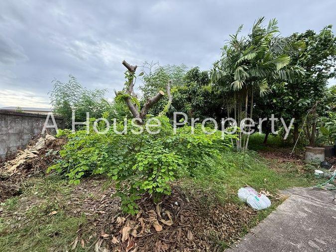 รูป ขายที่ดินแปลงสวย ในหมู่บ้านจัดสรร เขตศรีราชา เก้ากิโล ชลบุรี - รูปที่ 6/10