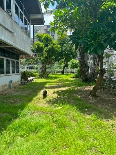 picture House for sale on Sukhumvit Soi 97/1, Bang Chak, Phra Khanong - 4/9