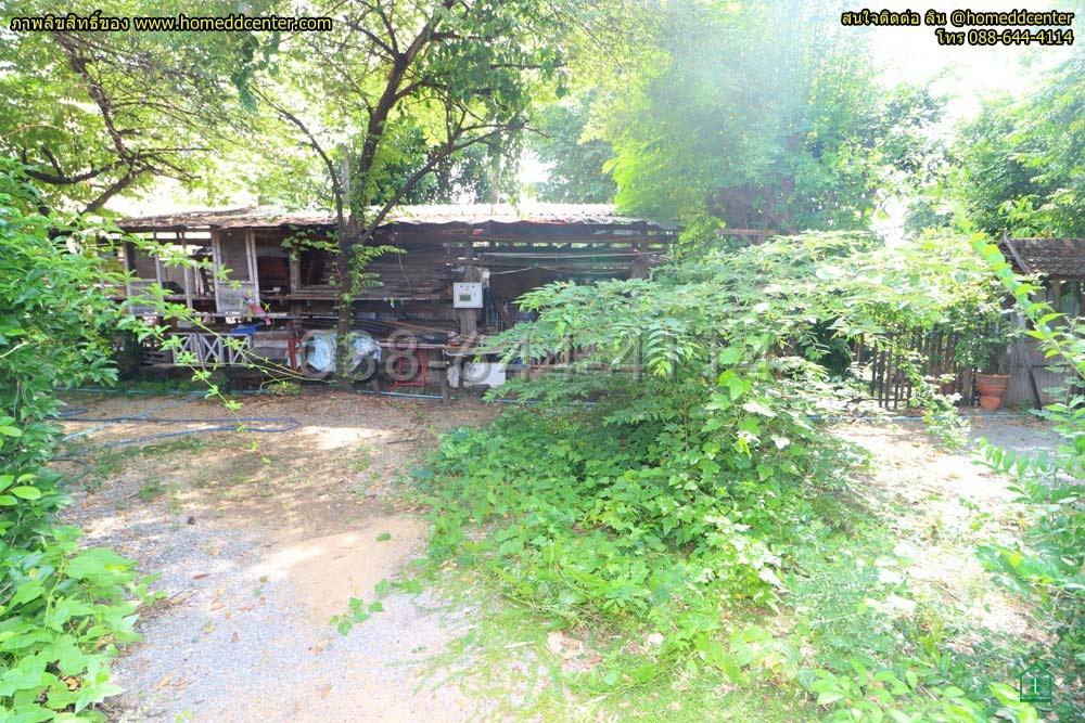 รูป ขายที่ดินเปล่าใจกลาง “ดุสิต” ซอยร่วมจิตต์ 3 ถนนพิชัย ผังสีน้ำตาล ย.8-6 - รูปที่ 5/15