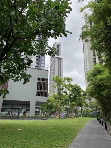 รูป 🏢 ขายคอนโด : The Base Sukhumvit 77 (เดอะ เบส สุขุมวิท 77)   รหัสทรัพย์ | 📌 LNP-C9922  - รูปที่ 11/11