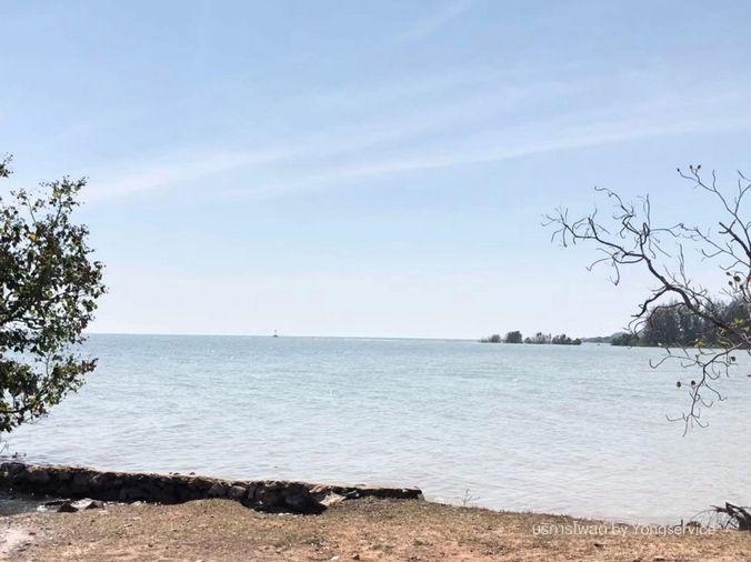 picture Call : 081-147-8118 Exclusive Beachfront Land for Sale, Noen Kho, Klaeng, Rayong - 3/8